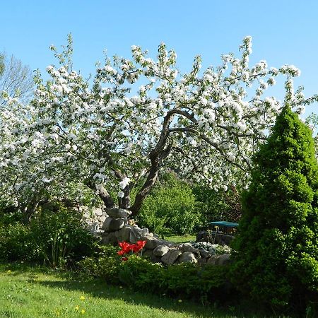 Sireli Holiday Home Käsmu Dış mekan fotoğraf