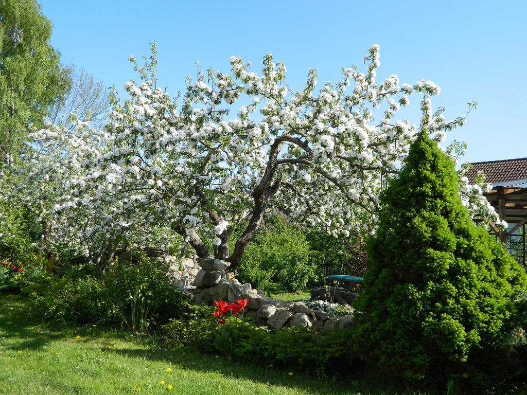 Sireli Holiday Home Käsmu Dış mekan fotoğraf